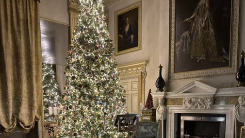 A large decorated Christmas tree in the Saloon at Uppark